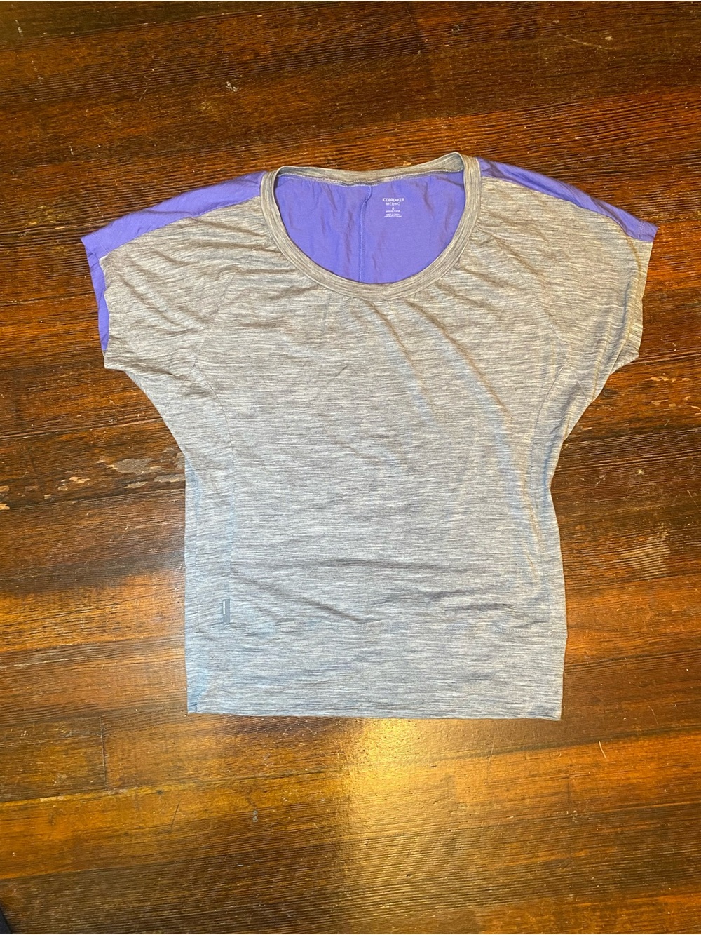 EUC Icebreaker 100% Merino Wool Two Tone Short Dolman Sleeve Top
